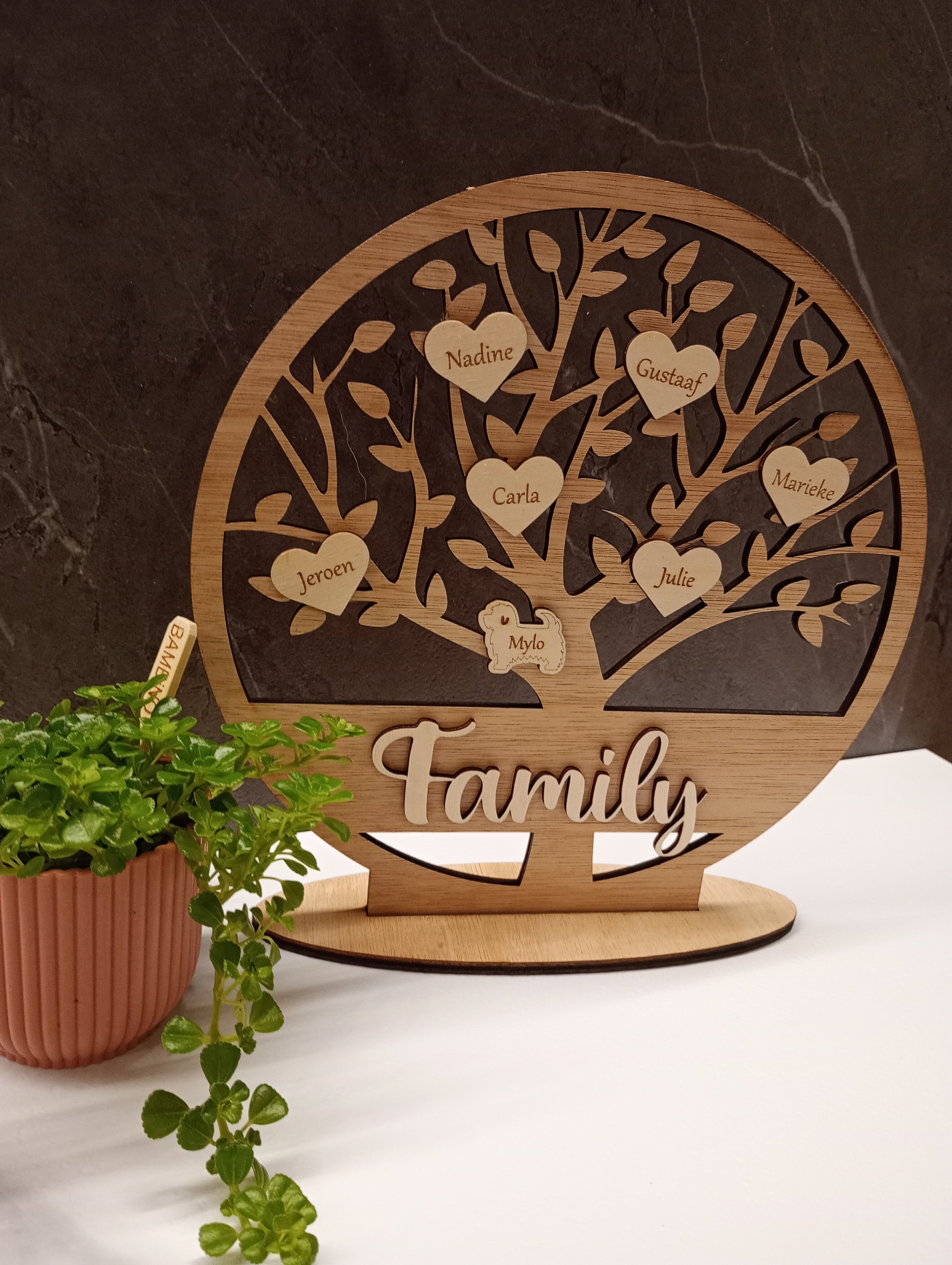 Familie stamboom