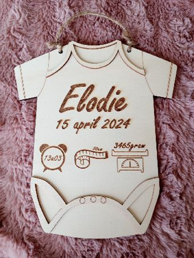 Rompertje in hout (multiplex)