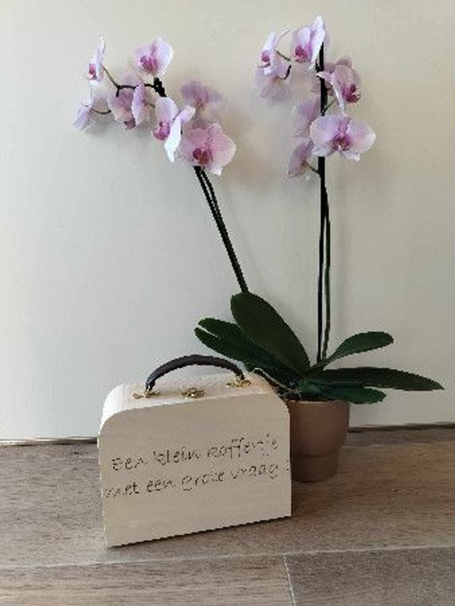 Koffertje met lederen handvat