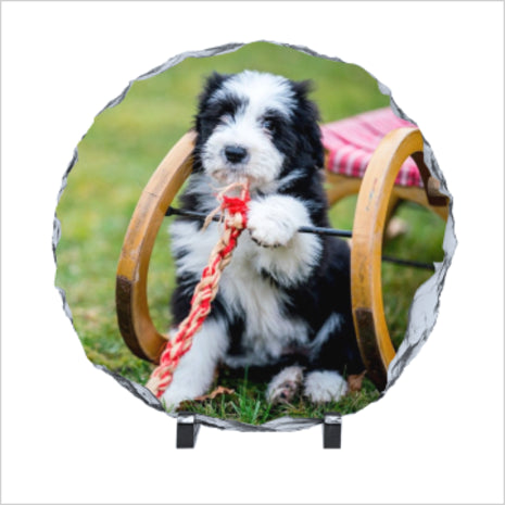 leisteen met foto incl. 2 voetjes