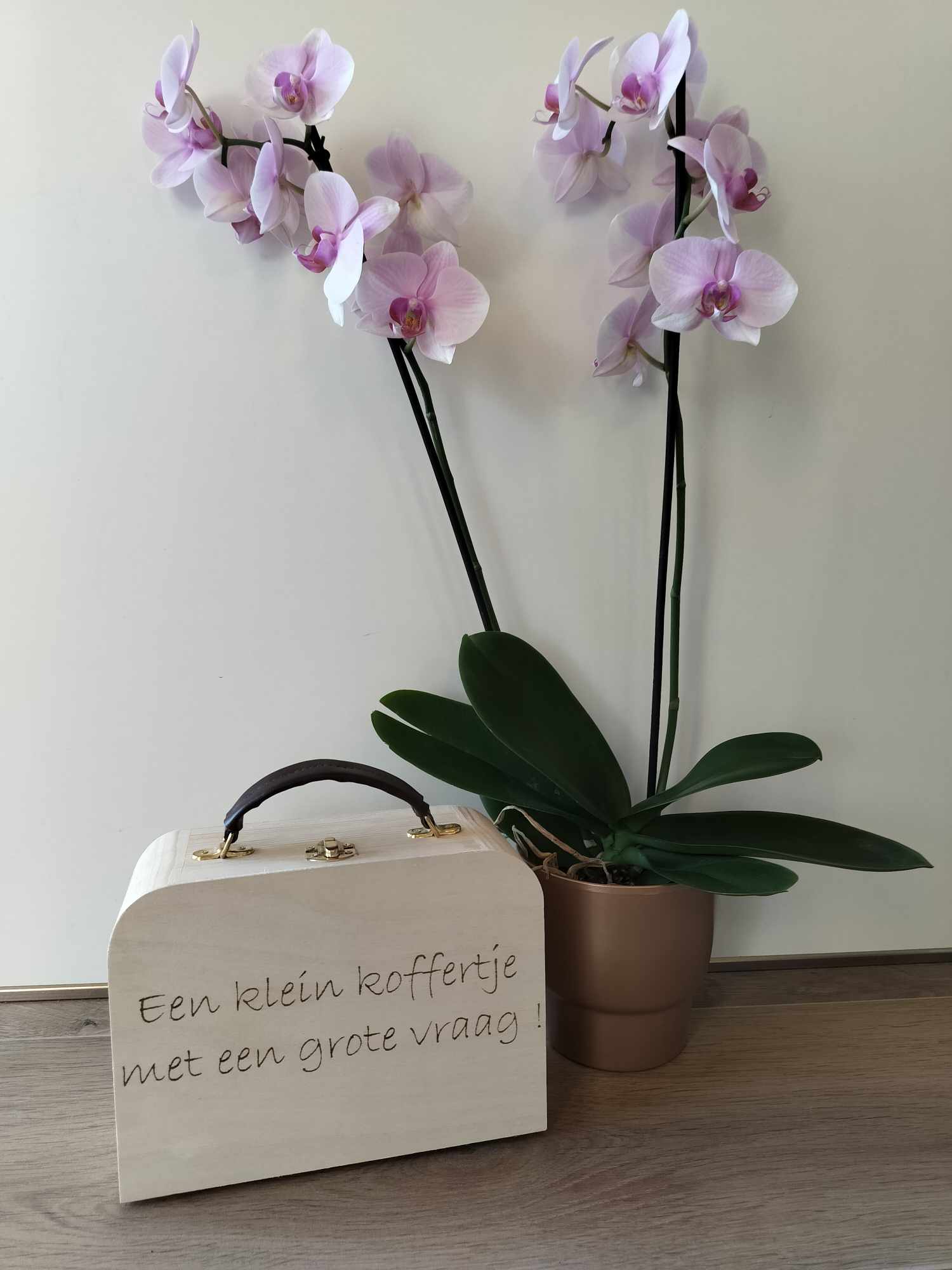 Koffertje met lederen handvat